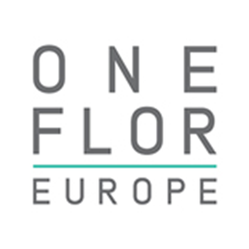 Logo One Flor